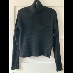 Club Monaco Ribbed Turtleneck